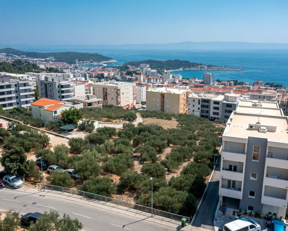 DJI_0184